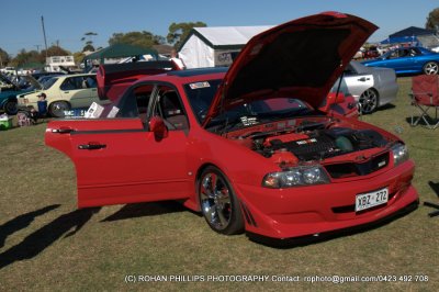 DSC_7156.jpg