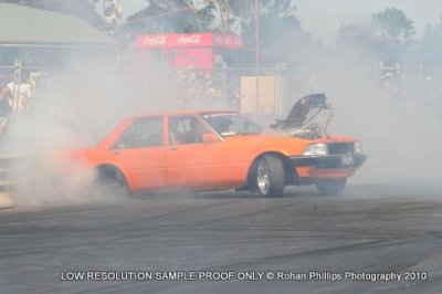 DSC_4181.jpg