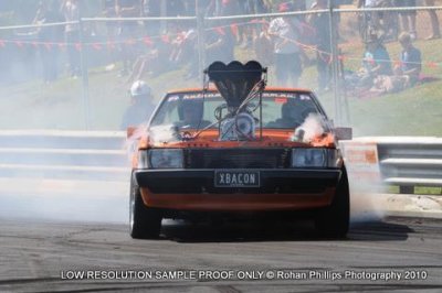 DSC_4192.jpg