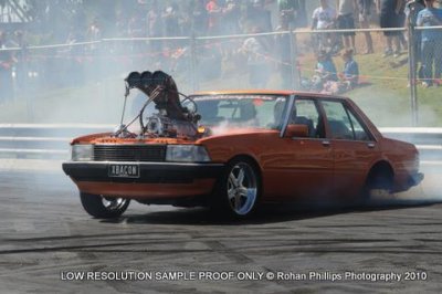 DSC_4193.jpg