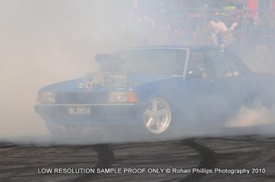 DSC_4223.jpg