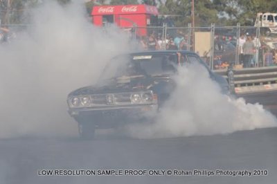 DSC_4380.jpg