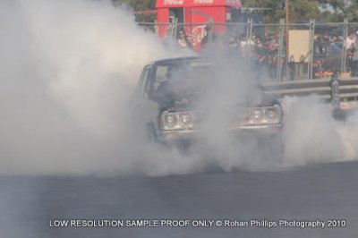 DSC_4382.jpg
