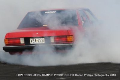 DSC_4486.jpg