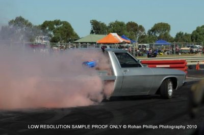 DSC_4600.jpg