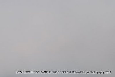 DSC_9652.jpg