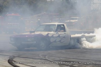 DSC_0595.jpg