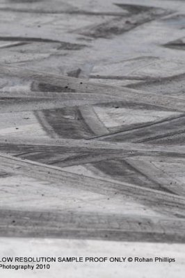 DSC_0640.jpg