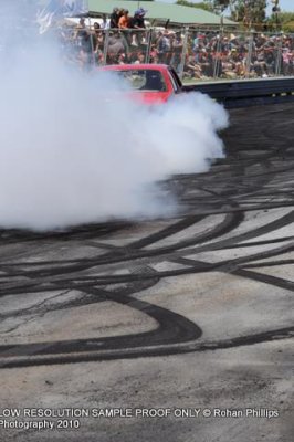 DSC_0772.jpg