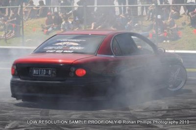 DSC_0911.jpg