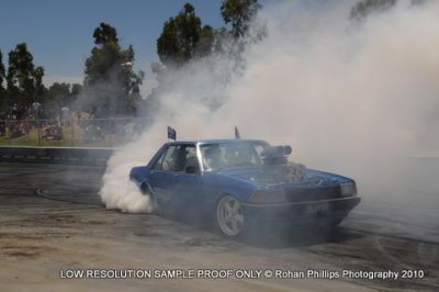 DSC_5687.jpg