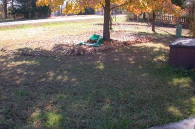 Raking in Progress