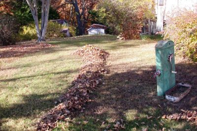 Leaves by the Old Pump