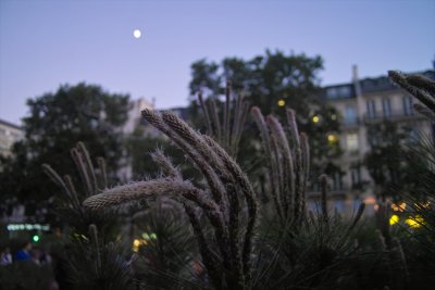 Nature Capitale 2010 in PARIS (2010 May 22nd)
