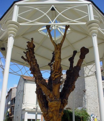 Stammbaum