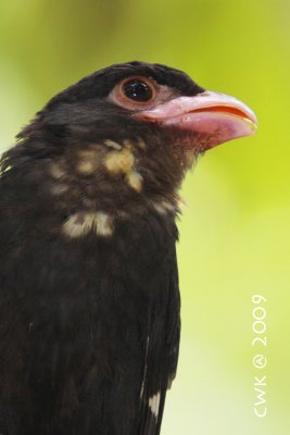 IMG_8134.jpg