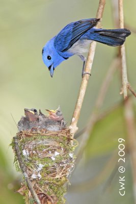 IMG_7671.jpg