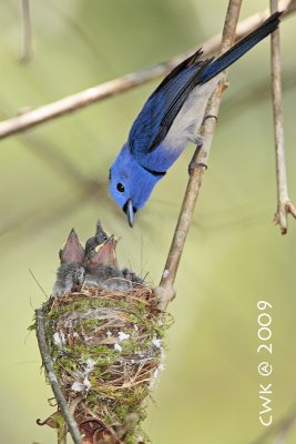 IMG_7761.jpg