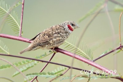 IMG_5071.jpg
