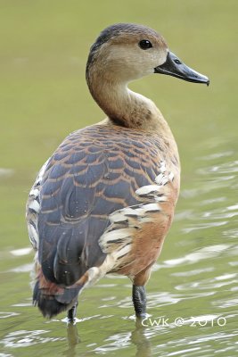 IMG_0814.jpg