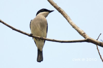 IMG_1260.jpg