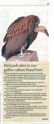 Griffin Vulture Sentenced to Jail