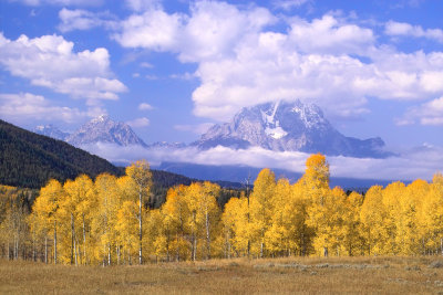 Grand Tetons in Fall