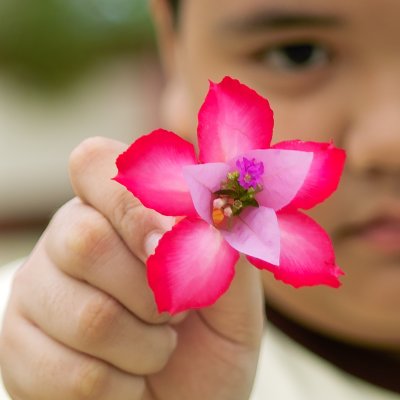 Flower Boy