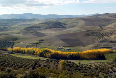 landscape-autumn-row-281007-andalucia-spain