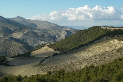 landscape-alhama-de-granada-281007-andalucia-spain