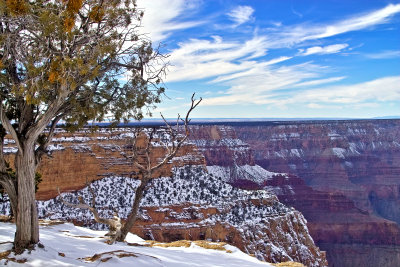 Grand Canyon View