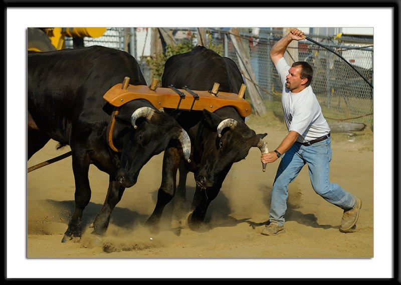 20070831 - Blue Hill Fair - 145A_1.jpg