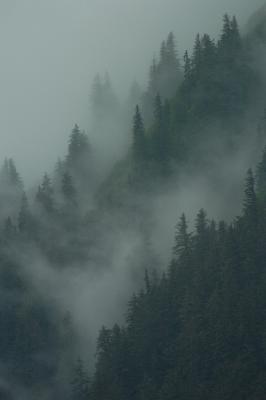 Juneau.jpg