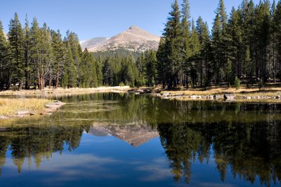 Yosemite reflection043.jpg