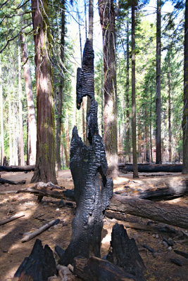 Yosemite sculpture116.jpg