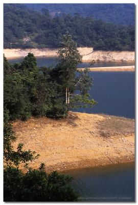 Shing Mun Reservoir  - 城門水塘