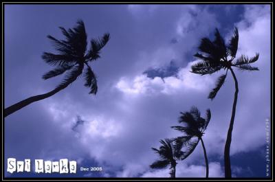 Sri Lanka - d