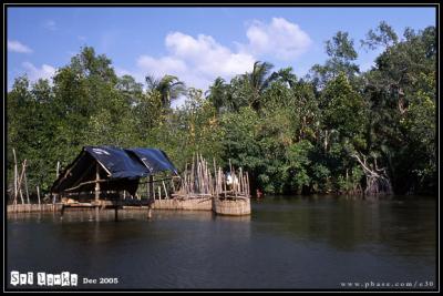 Sri Lanka - d