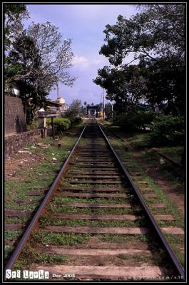 Sri Lanka - d