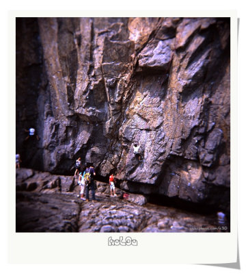 Holga (2007/10)