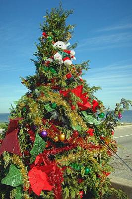 Christmas Tree at foot of Bay Bridge