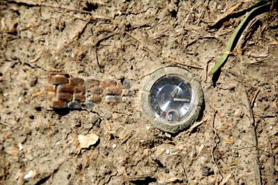 DSC_0350.jpg