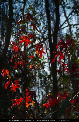 091206_036.jpg