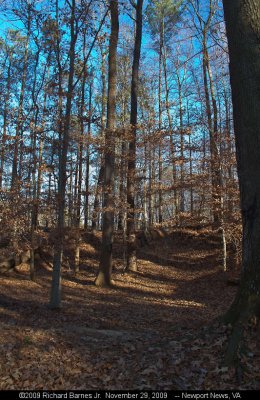 091129_050.jpg