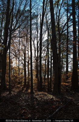 091129_054.jpg