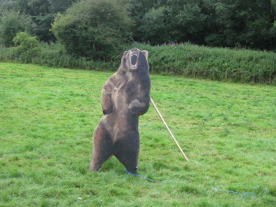 bear.jpg
