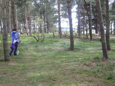 castle7.jpg