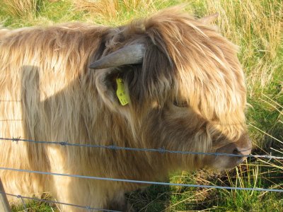 09scotland_32.JPG