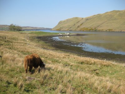 09scotland_50.JPG