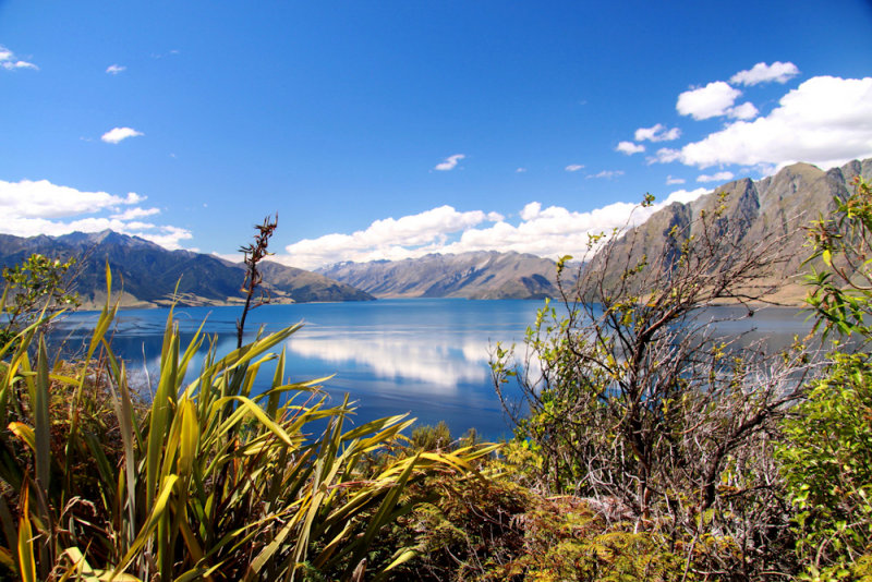 Lake Wanaka